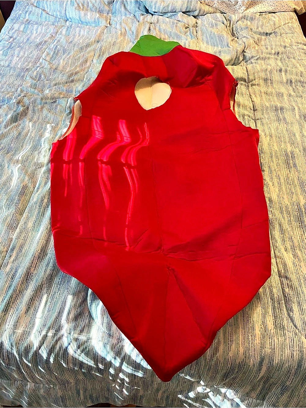 Chili Pepper Halloween Costume